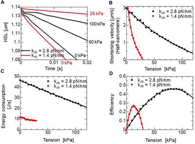 A thermodynamically consistent monte carlo cross-bridge model with a trapping mechanism reveals the role of stretch activation in heart pumping